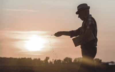 you reap what you sow poem