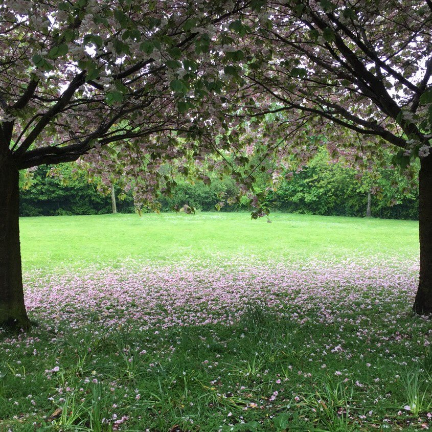 My Poetry. A Walk in the Park.