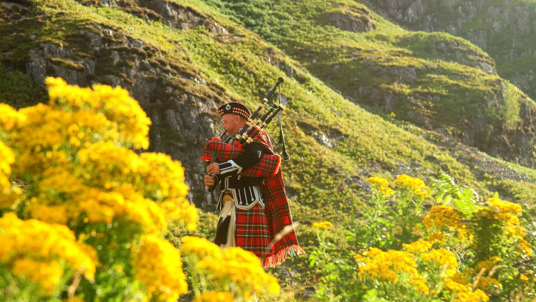 scottish piper