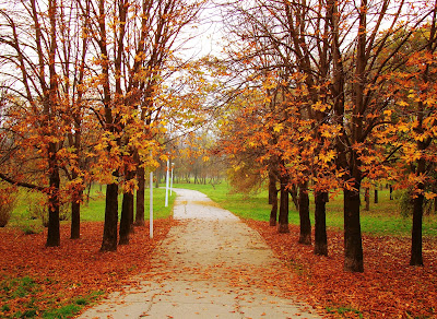 My Poetry. Autumn is near.