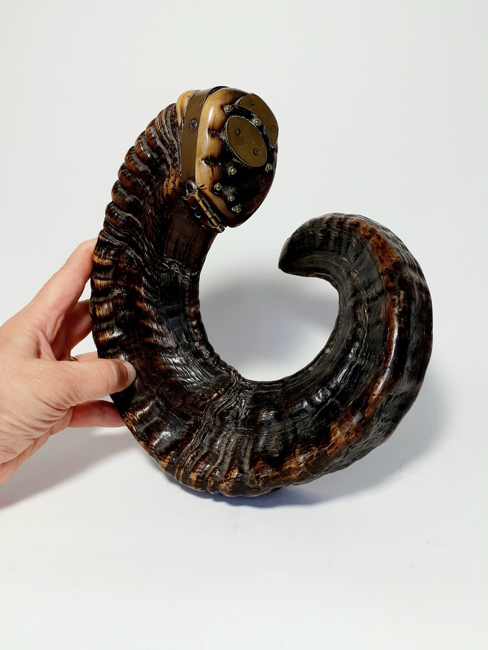 Scottish Antiques and Collectables.Horn