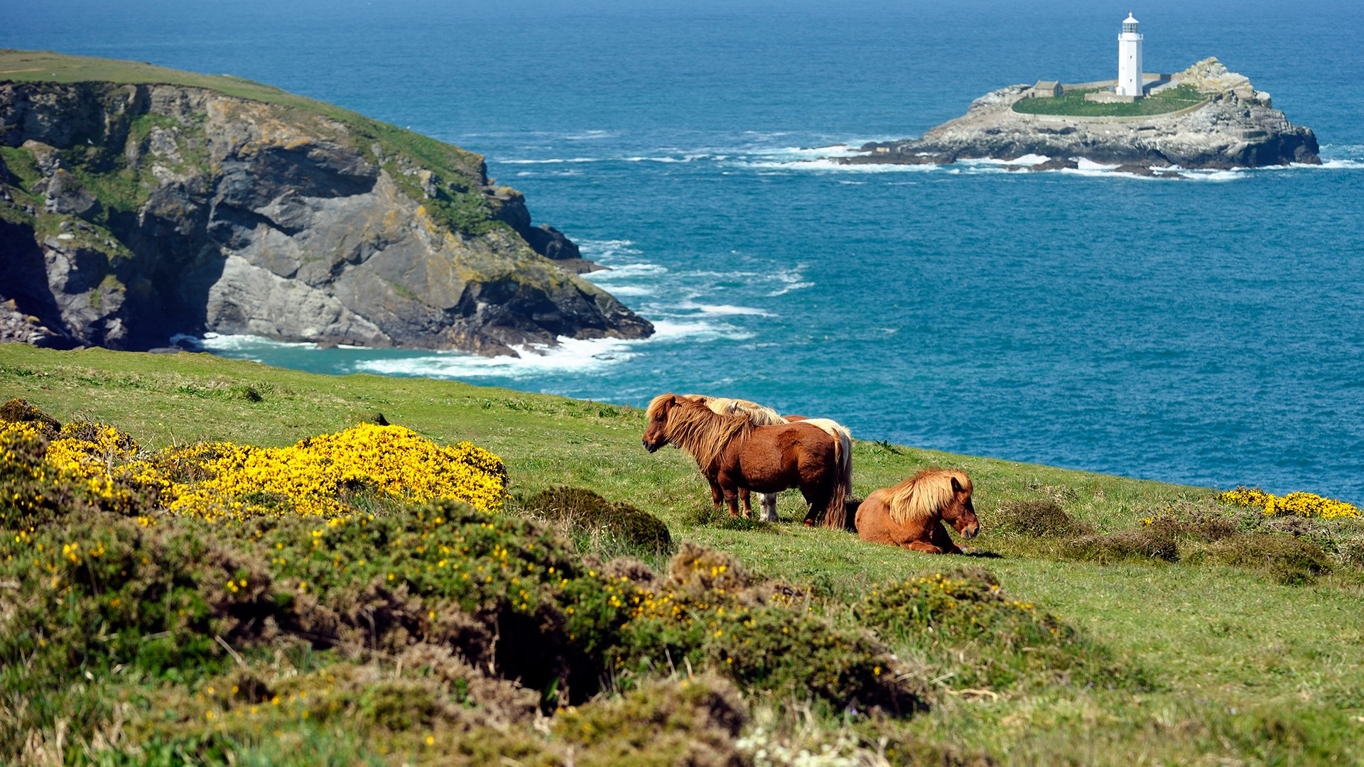 Scottish Places of Interest. Shetlands.