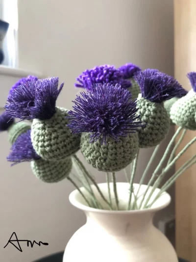 scottish thistle