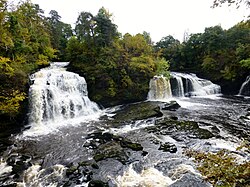 bonnington linn